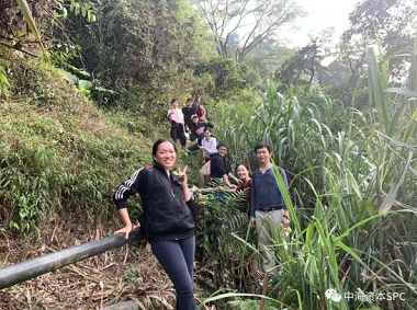 鹏城第一高峰登顶之行--记中海资本梧桐山团建 鹏城第一高峰登顶之行--记中海资本梧桐山团建